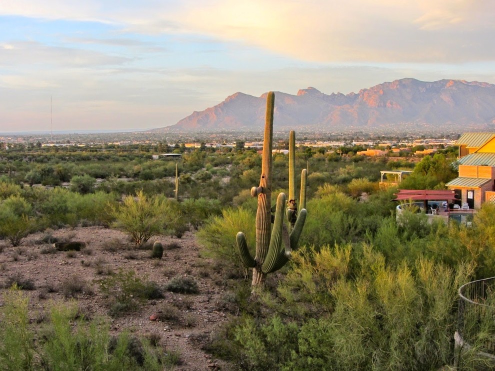 Milagro Cohousing | Tucson, AZ - Southwestern - Landscape - Austin - by ...
