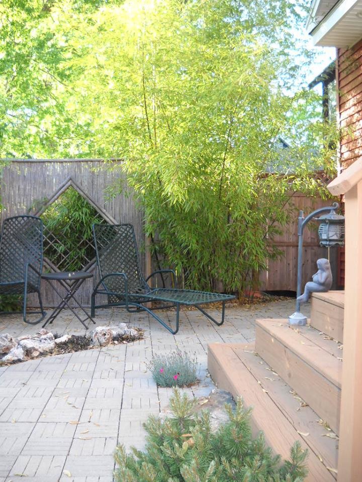 Diseño de jardín de estilo zen pequeño en patio trasero con exposición parcial al sol y adoquines de hormigón