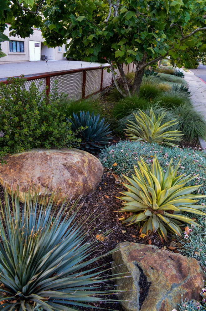 Design ideas for a medium sized nautical side xeriscape full sun garden for summer in Denver with a desert look and mulch.