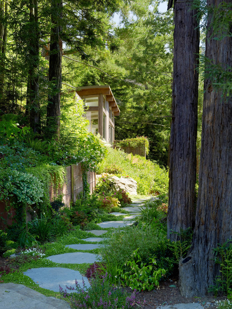 サンフランシスコにある広いコンテンポラリースタイルのおしゃれな前庭の写真