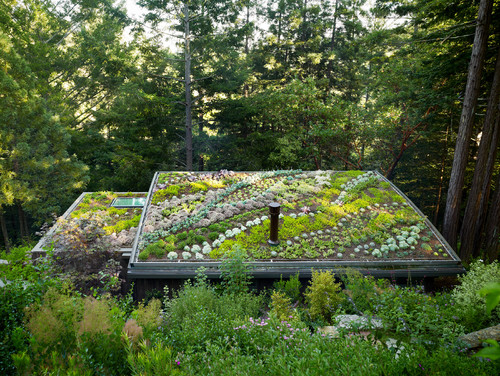 Mill Valley Cabins