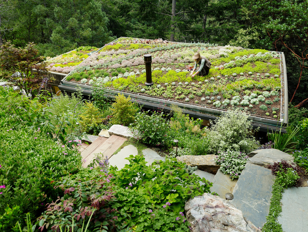 Inspiration for a contemporary landscaping in San Francisco.