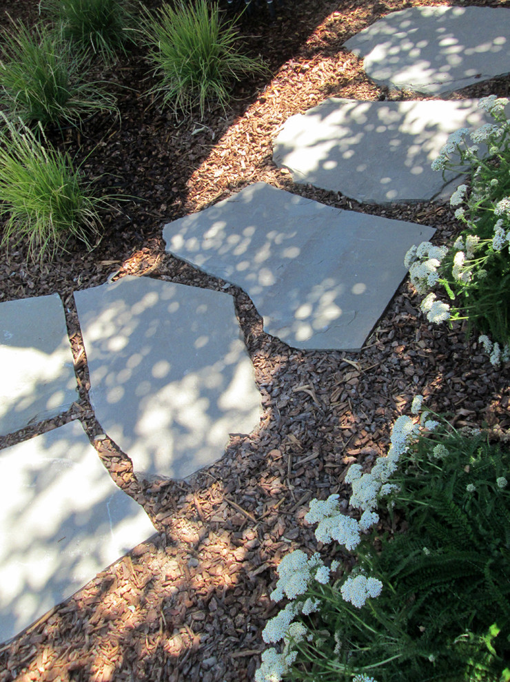 Ispirazione per un grande giardino xeriscape stile americano in ombra dietro casa in estate con un ingresso o sentiero e pedane