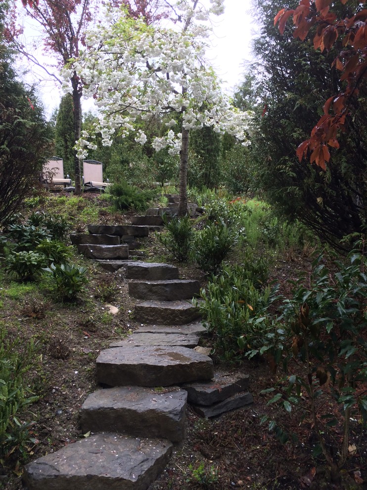 Cette image montre un aménagement d'entrée ou allée de jardin traditionnel de taille moyenne et au printemps avec une exposition ombragée, une pente, une colline ou un talus et des pavés en pierre naturelle.