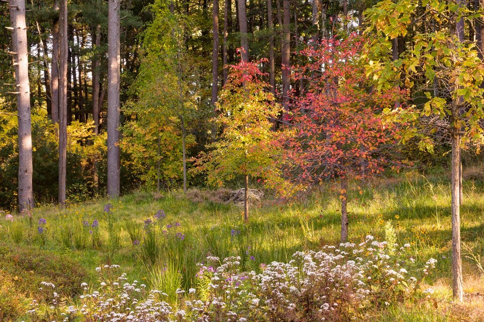 Großer, Halbschattiger Rustikaler Vorgarten im Herbst mit Betonboden in Boston