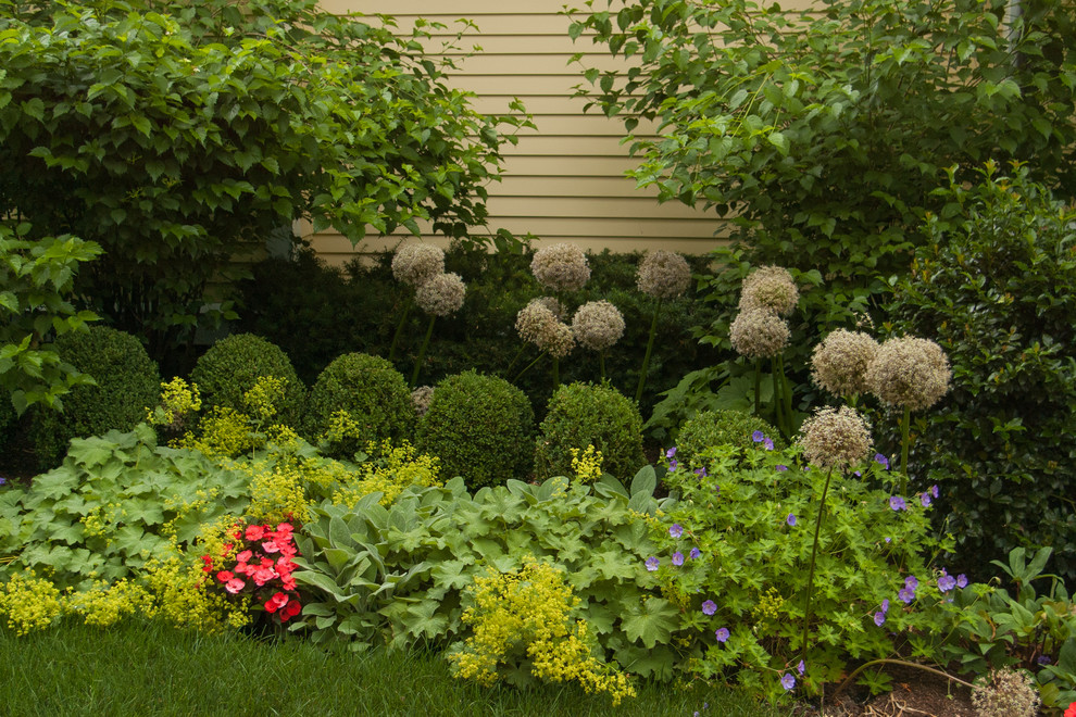 На фото: солнечный участок и сад среднего размера на боковом дворе в классическом стиле с хорошей освещенностью