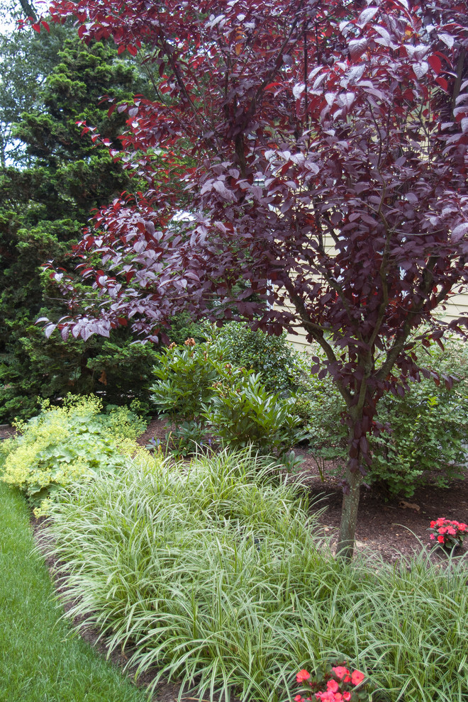 На фото: солнечный участок и сад среднего размера на заднем дворе в классическом стиле с хорошей освещенностью с
