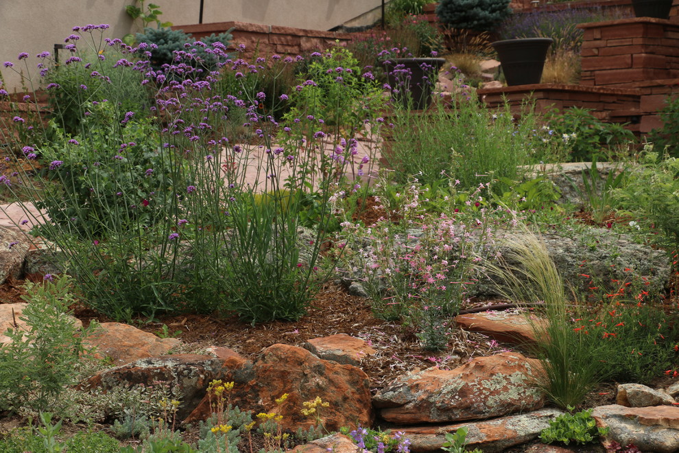 This is an example of a medium sized front xeriscape full sun garden in Denver with natural stone paving.