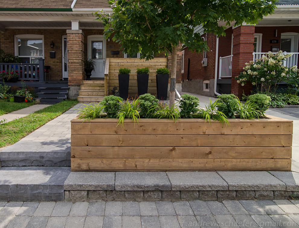 Design ideas for a small contemporary front yard gravel landscaping in Toronto.