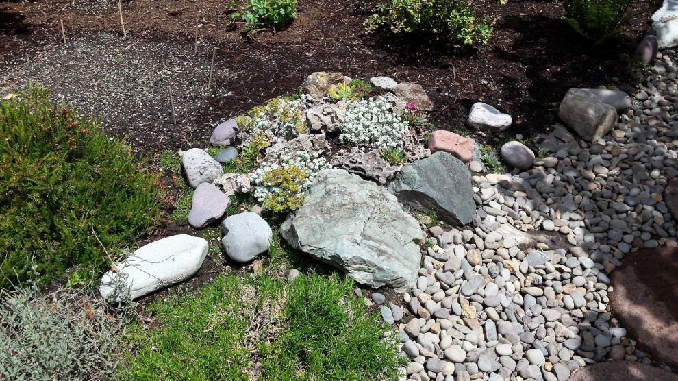 Design ideas for a small rustic front full sun garden for summer in Portland with a desert look and decorative stones.