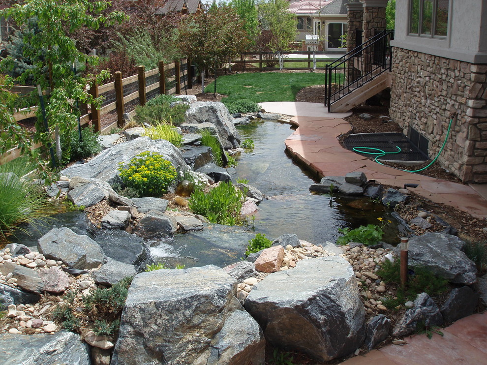 Minimal Lawn Xeriscape Garden Southwestern Landscape Denver by
