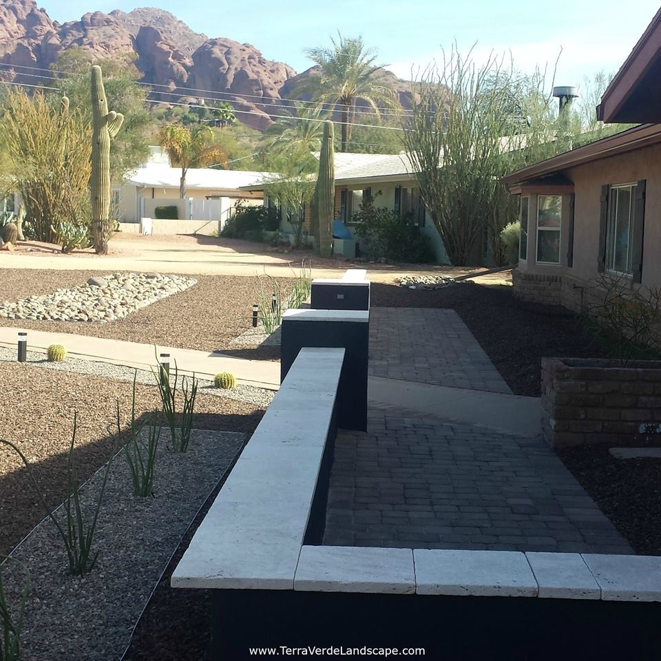 Minimalist Xeriscape for Camelback Mountain View Contemporary