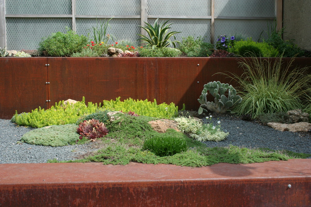 This is an example of an urban xeriscape garden in Minneapolis.