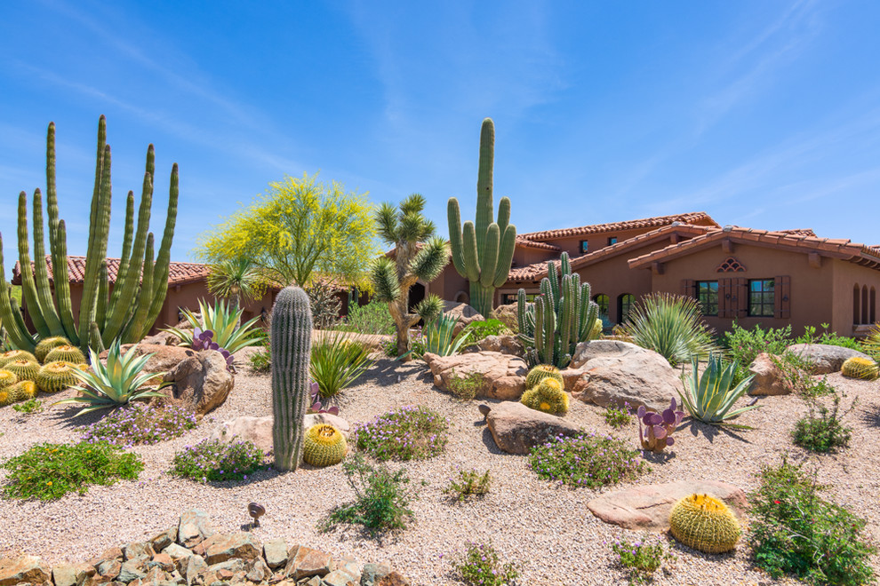 Design ideas for a huge southwestern full sun front yard landscaping in Phoenix.