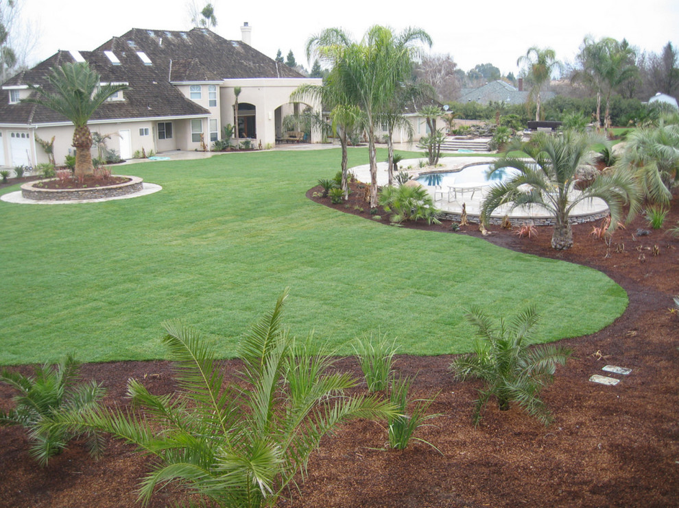 Idee per un grande giardino tropicale dietro casa con pavimentazioni in pietra naturale