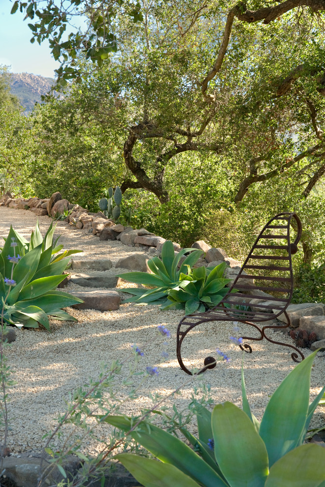 Design ideas for a medium sized contemporary garden in Santa Barbara.