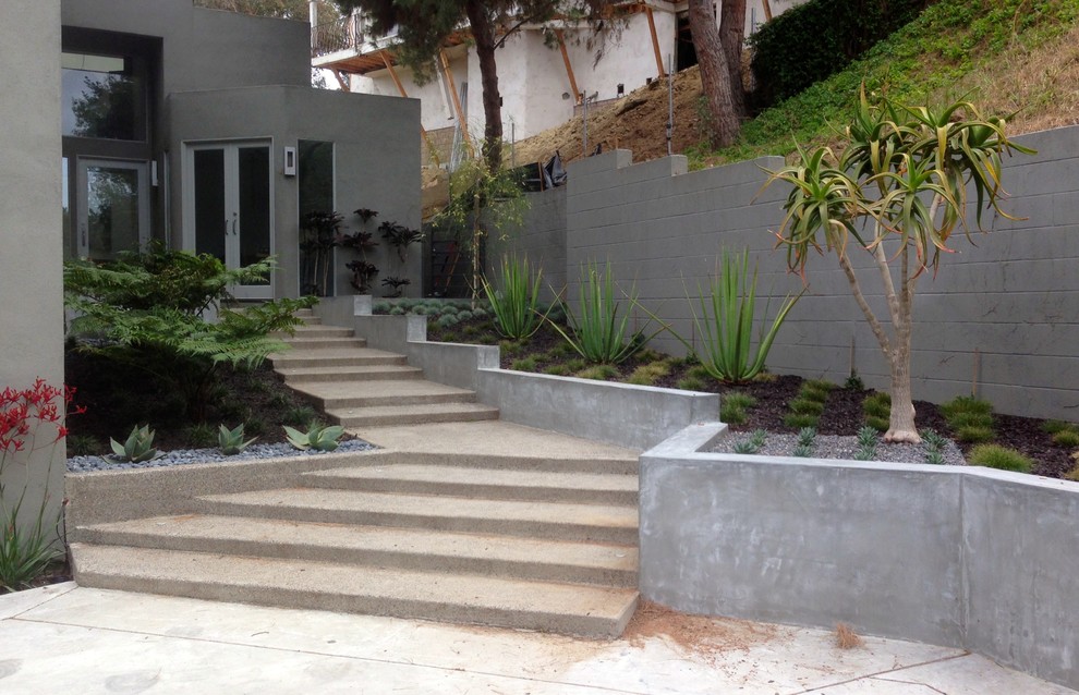 Свежая идея для дизайна: участок и сад на переднем дворе в стиле модернизм с подпорной стенкой - отличное фото интерьера