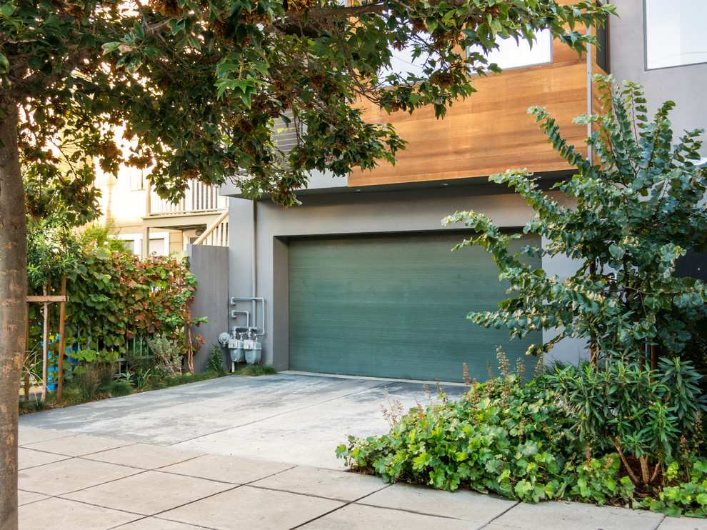 Mission Sidewalk Garden - Modern - Landscape - San Francisco - by Seed ...