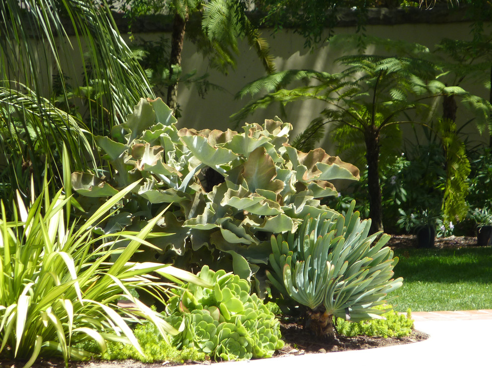 This is an example of a large world-inspired back full sun garden in Santa Barbara.