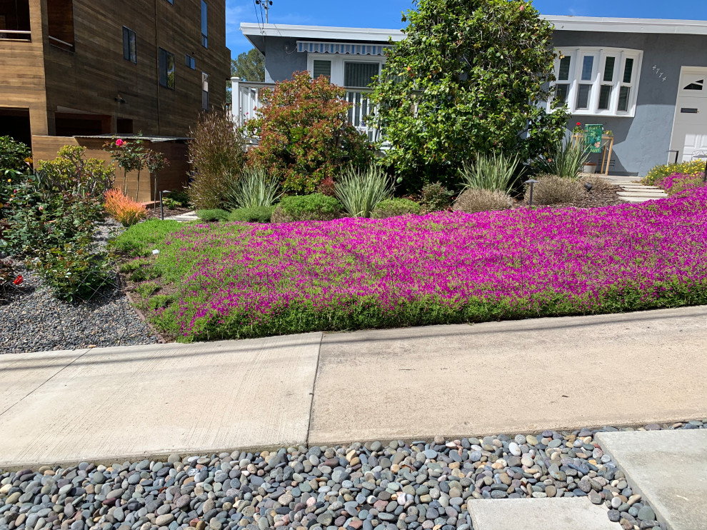 Photo of a small coastal drought-tolerant and full sun front yard stone garden path in San Diego.