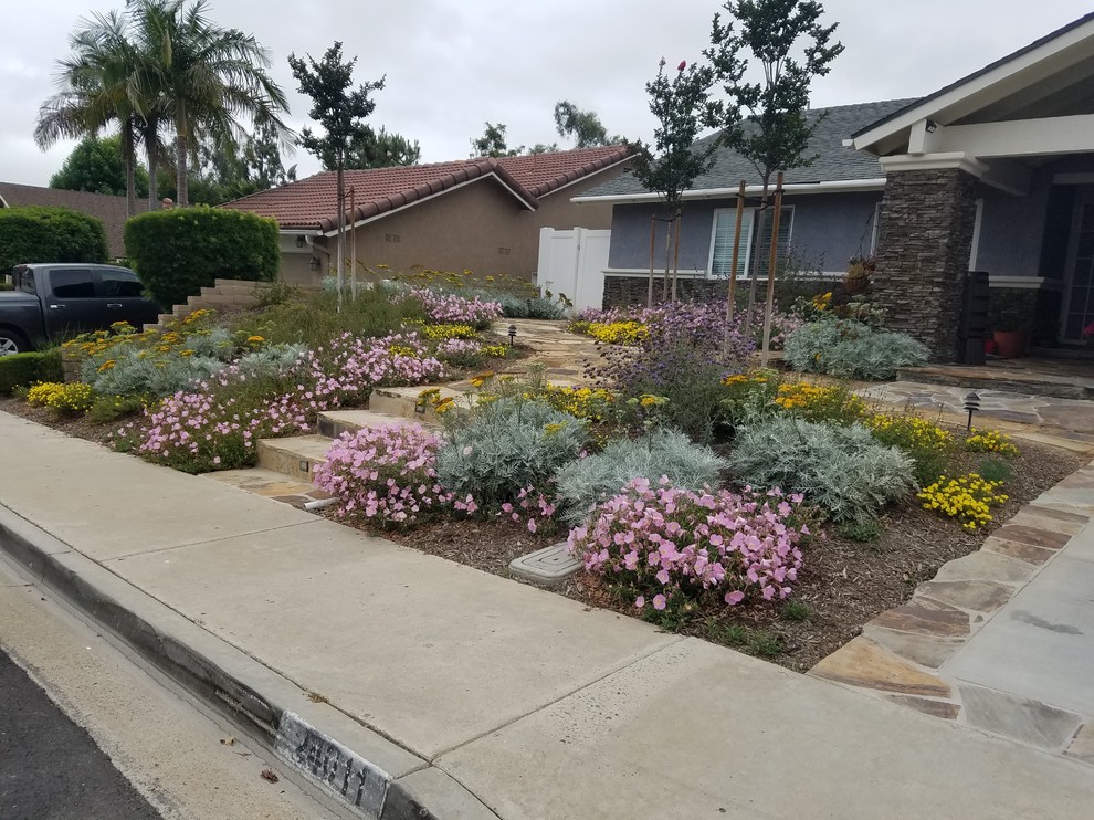 This is an example of a mid-sized traditional full sun front yard landscaping in Orange County.