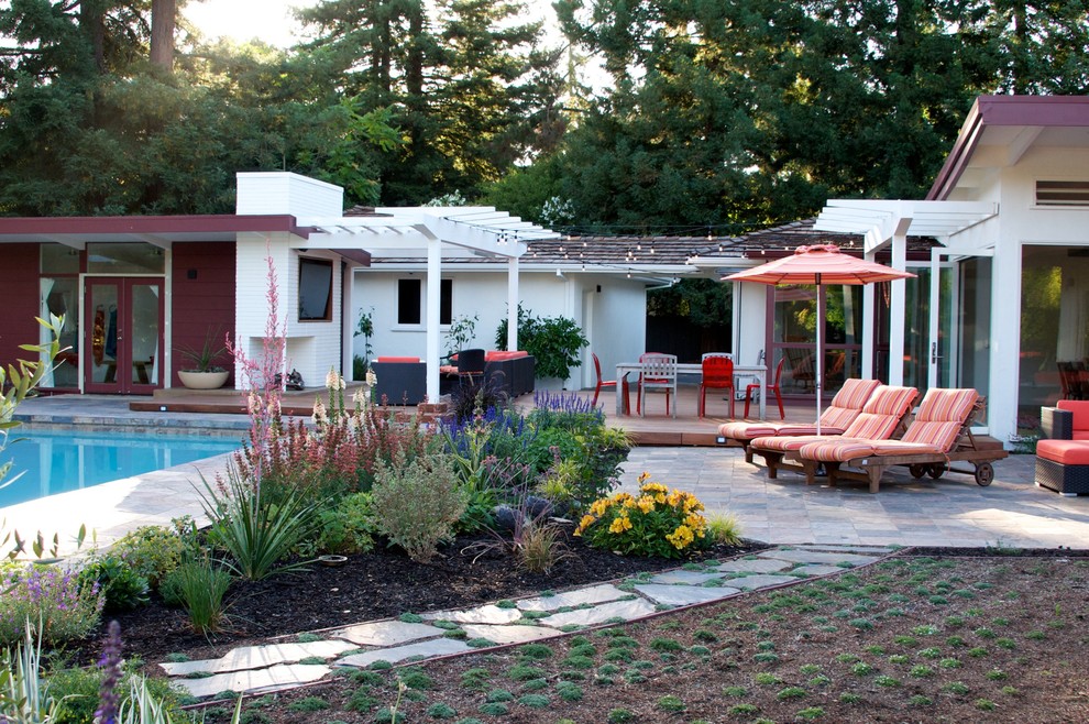 Идея дизайна: большой солнечный засухоустойчивый сад на заднем дворе в современном стиле с растениями в контейнерах, мульчированием и хорошей освещенностью
