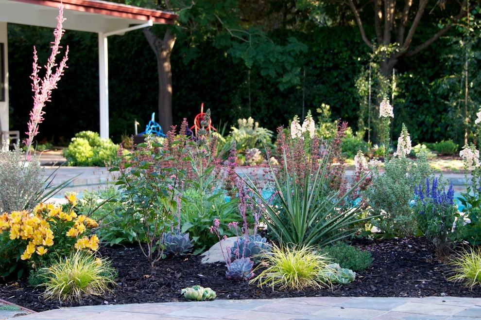 Idee per un grande giardino xeriscape design esposto a mezz'ombra dietro casa con un giardino in vaso e pacciame