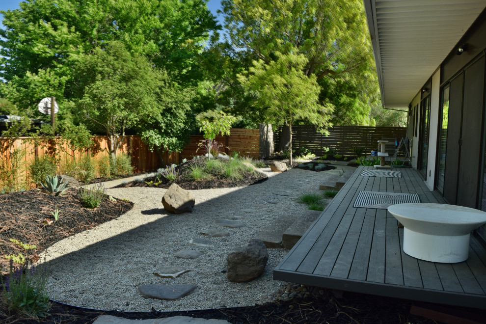 Idee per un grande giardino xeriscape moderno esposto a mezz'ombra nel cortile laterale con sassi e rocce e pavimentazioni in pietra naturale
