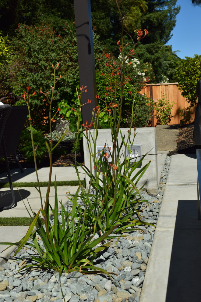 Идея дизайна: большой засухоустойчивый сад на боковом дворе в стиле модернизм с камнем в ландшафтном дизайне, полуденной тенью и покрытием из каменной брусчатки