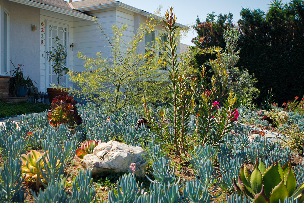 Imagen de jardín de secano bohemio pequeño en patio delantero