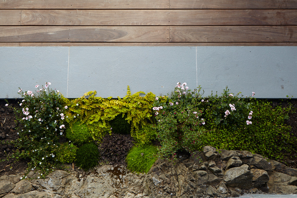 Esempio di un piccolo giardino minimal dietro casa con un muro di contenimento e pedane