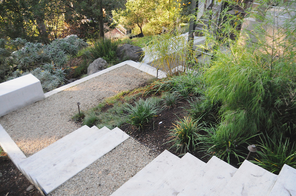 Foto di un giardino moderno con un muro di contenimento