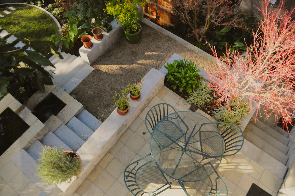 Immagine di un giardino moderno dietro casa con un giardino in vaso