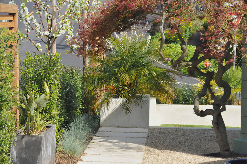 Inspiration for a modern gravel landscaping in San Francisco.