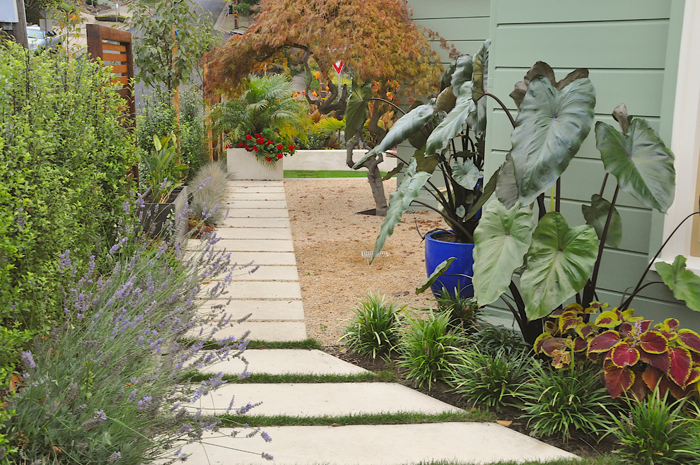 Cette photo montre un jardin latéral moderne avec une exposition ombragée.