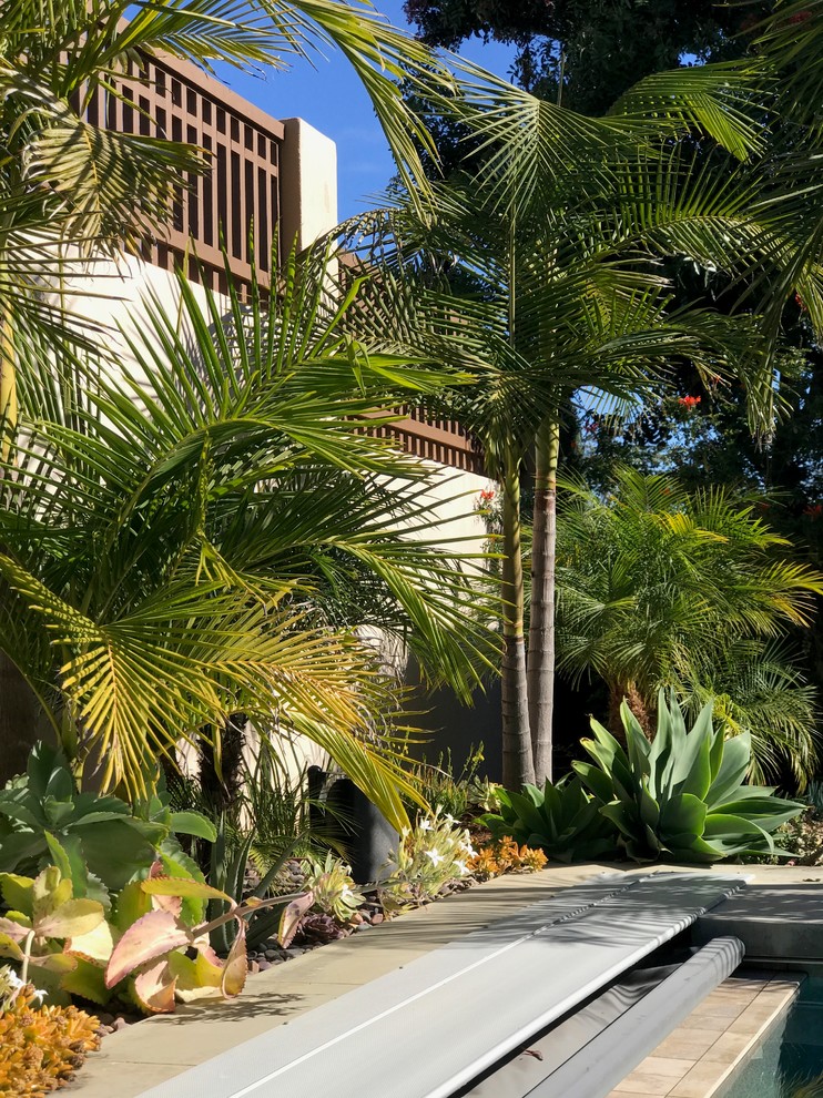 Esempio di un grande giardino xeriscape moderno esposto in pieno sole dietro casa con pavimentazioni in cemento