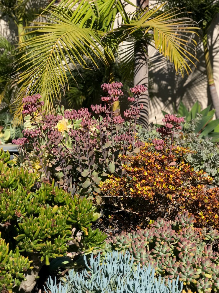 Стильный дизайн: солнечный участок и сад среднего размера на заднем дворе в морском стиле с хорошей освещенностью и мощением клинкерной брусчаткой - последний тренд