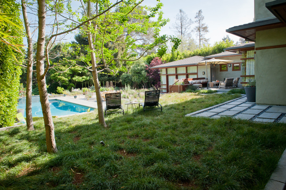 Immagine di un grande giardino xeriscape moderno esposto in pieno sole dietro casa in primavera con un ingresso o sentiero e pavimentazioni in cemento