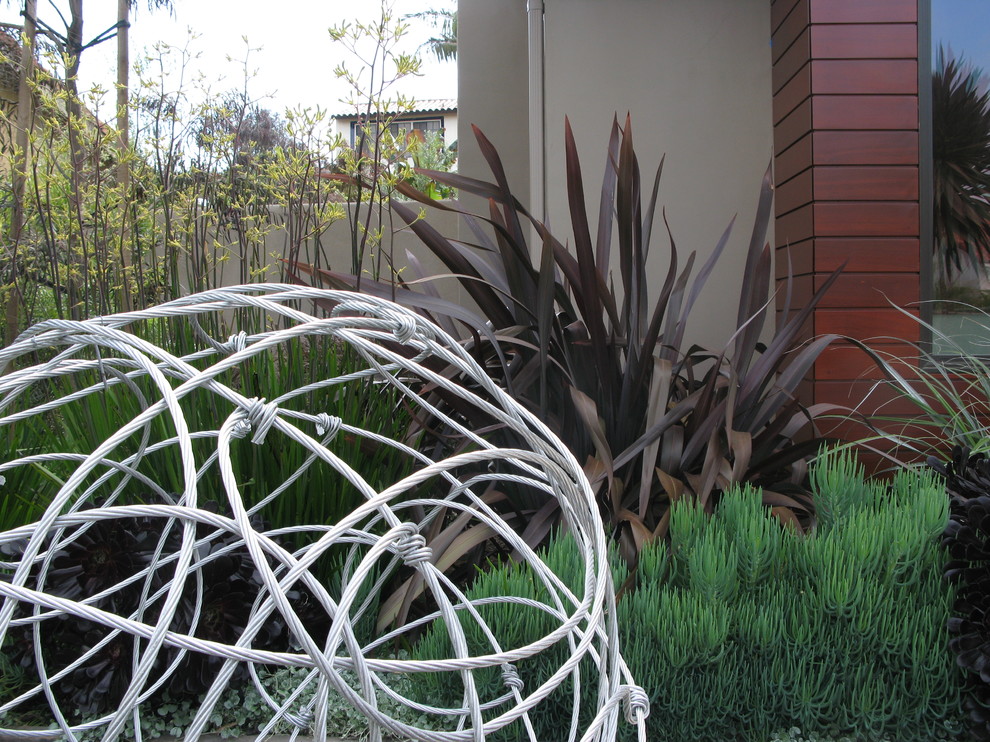 サンディエゴにあるコンテンポラリースタイルのおしゃれな庭の写真