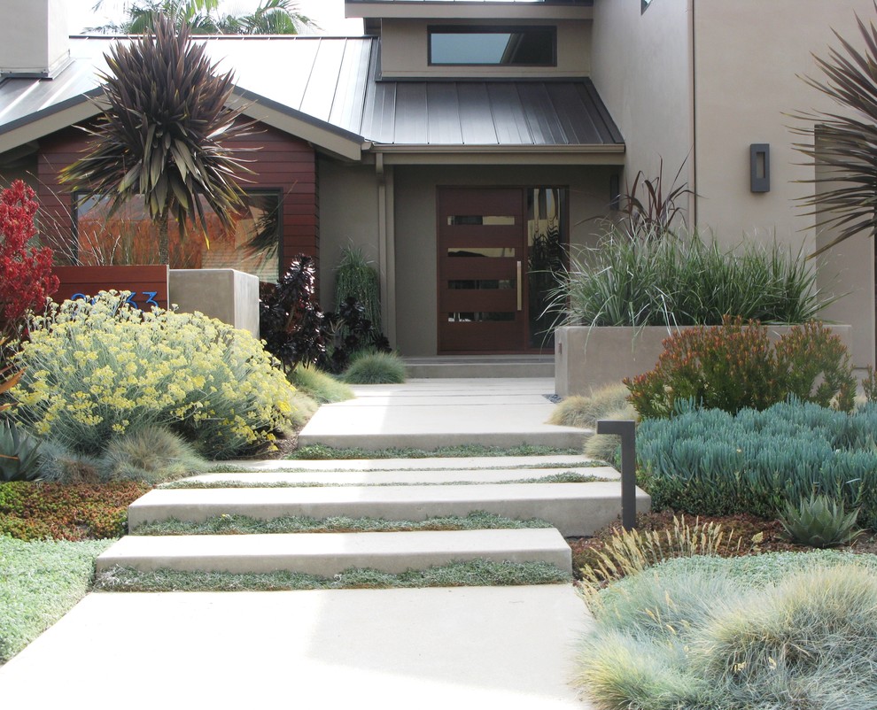 This is an example of a contemporary landscaping in San Diego.