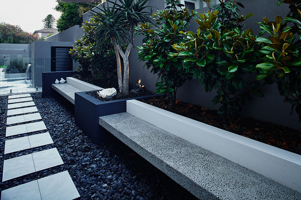 This is an example of a contemporary back garden in Sydney with a garden path and concrete paving.
