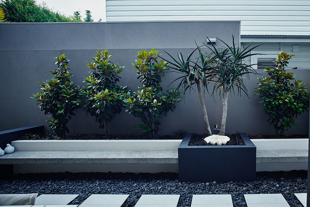 シドニーにあるコンテンポラリースタイルのおしゃれな横庭 (庭への小道、天然石敷き) の写真