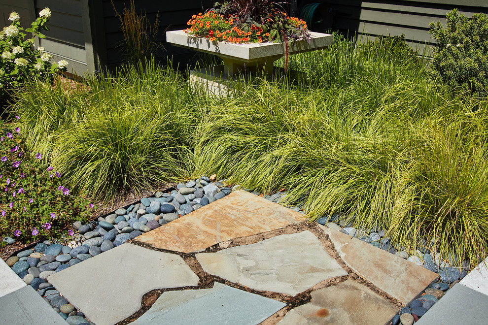 Foto di un giardino xeriscape moderno esposto in pieno sole di medie dimensioni e davanti casa in estate con un ingresso o sentiero e pavimentazioni in pietra naturale