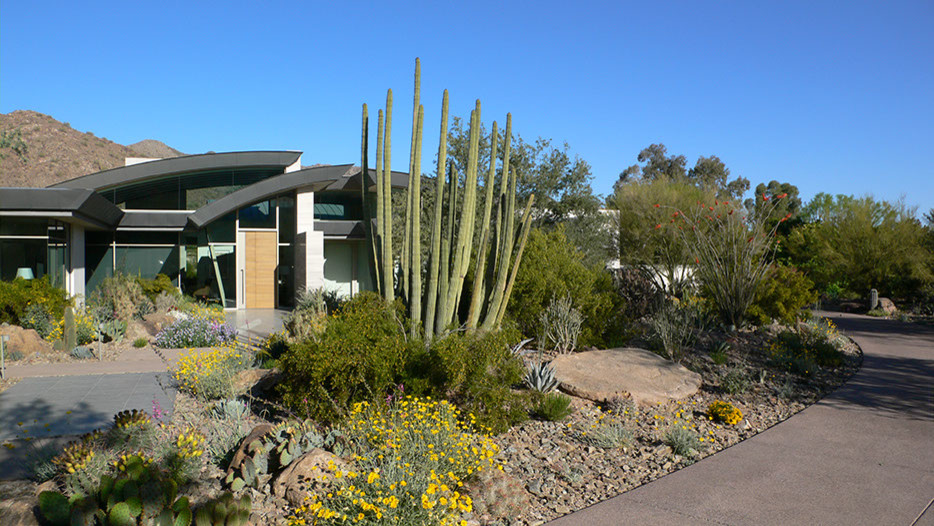 Foto di un ampio giardino xeriscape minimalista esposto a mezz'ombra davanti casa in primavera con un ingresso o sentiero