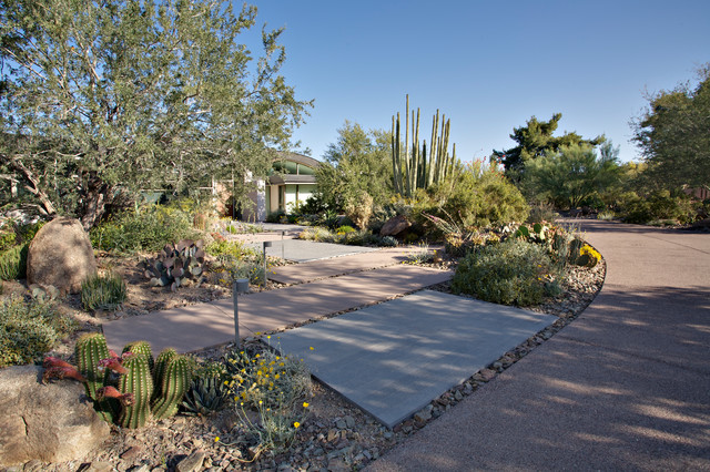 Modern Botanical Garden | Front Entry - Modern - Garden - Phoenix - by ...