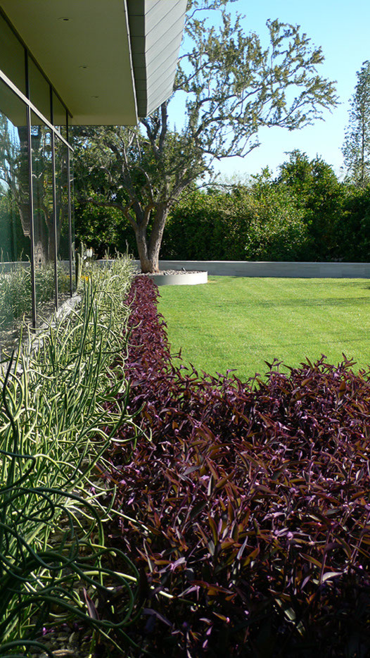 Foto di un ampio giardino xeriscape contemporaneo esposto a mezz'ombra dietro casa in primavera con un giardino in vaso