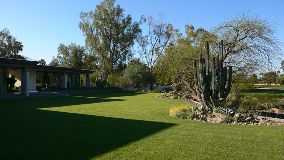 Immagine di un ampio giardino xeriscape minimalista esposto a mezz'ombra dietro casa in primavera
