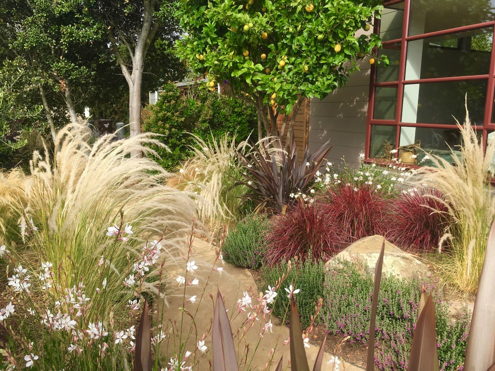 Medium sized traditional back partial sun garden in San Francisco with a garden path and gravel.