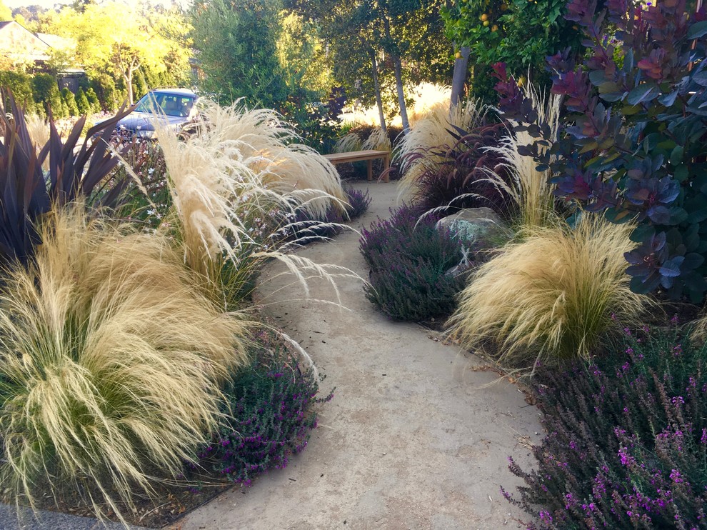 Design ideas for a medium sized classic back partial sun garden in San Francisco with a garden path and gravel.