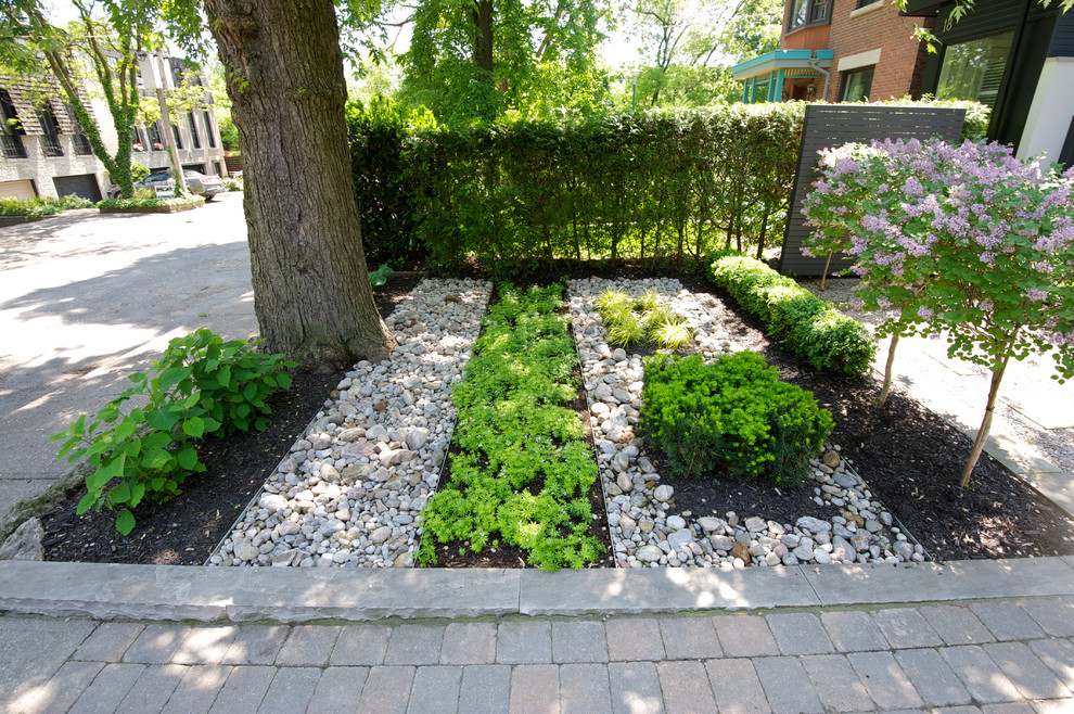 Inspiration for a transitional front yard landscaping in Toronto.